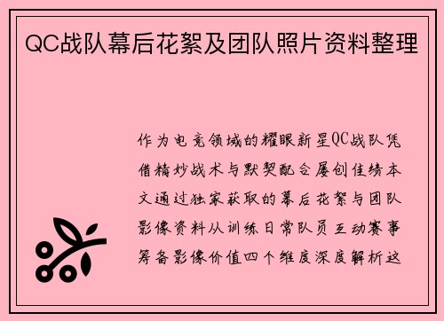QC战队幕后花絮及团队照片资料整理